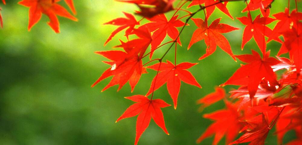 株式会社福田物産