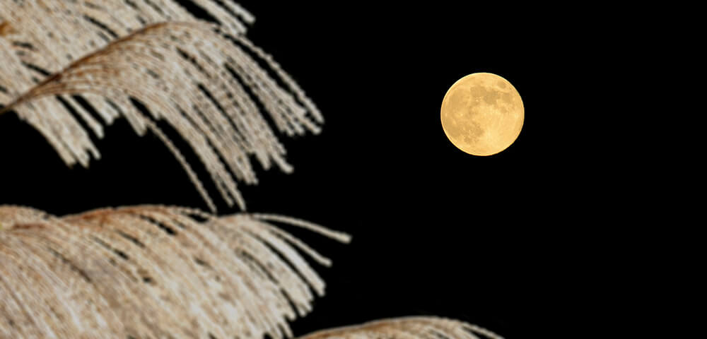 株式会社福田物産